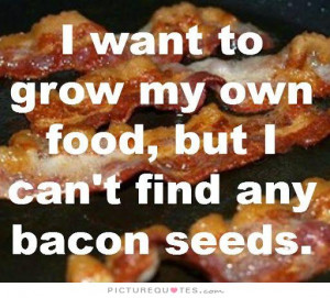 Food Quotes Funny Food Quotes Bacon Quotes