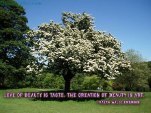 http://quotespictures.com/the-creation-of-beauty-is-art-art-quote/