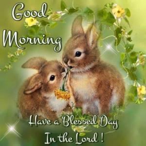 Good Morning Have A Blessed Day In The Lord
