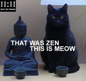 Buddhist Cat: That was Zen, This is Now