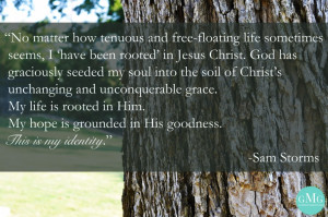 Week 4} Rooted In Christ~Colossians 2:6-15