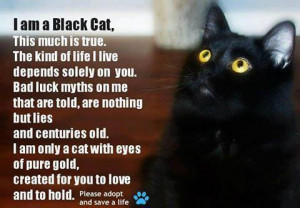 ... can help bring awareness on Black Cat Appreciation Day — and beyond