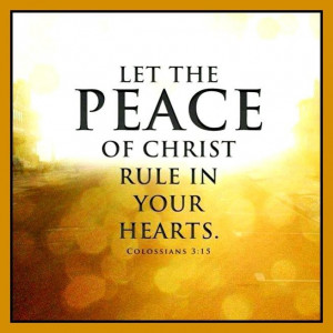 Via Morning Glory Meadow