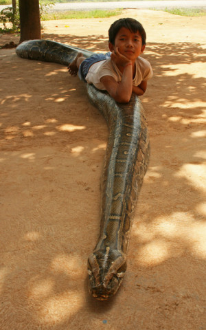 That’s one big snake