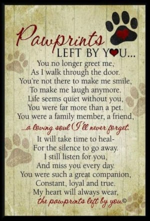 Quotes That'll Help You Cope With Losing Your Pet