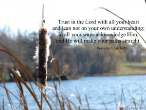 Nature background bible verse image about knowing and believing Lord