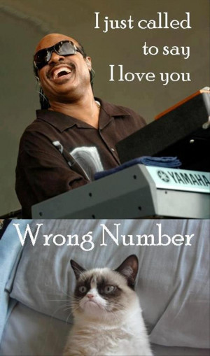 grumpy cat, stevie wonder, funny pictures