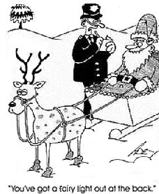 Funny Santa Sleigh Cartoons and Pictures