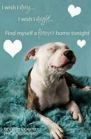 Found on Uploaded by user