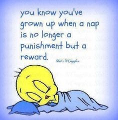 nap life quotes quotes quote life quote tweety bird by barbra More