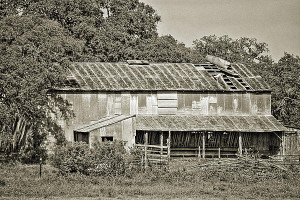 Funny Quotes Contact Dmca