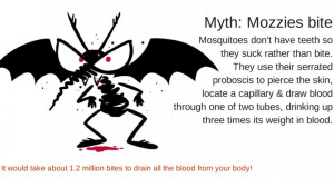 , check out the myths and the facts surrounding mosquitos and Malaria ...
