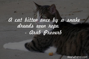 cat-A cat bitten once by a snake dreads even rope.