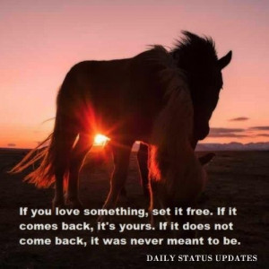 if you love something, set it free...