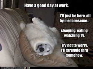 Have a good day at work