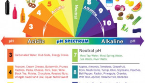 ... TIME TO ALKALISE YOURSELF! AND The Myths of Acid vs. Alkaline Foods