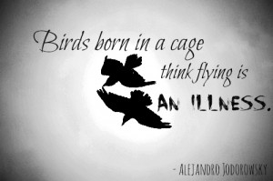 Birds Born In A Cage Think Flying Is An Illness - Birds Quote