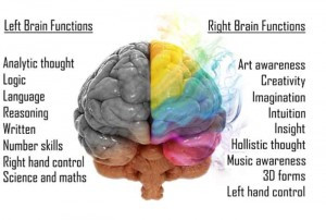 left hemisphere functions of the brain
