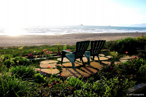 Can You Just Shut Up And Give Me Hug? Lonely