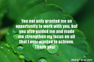 you not only granted me an opportunity to work with you but you also ...