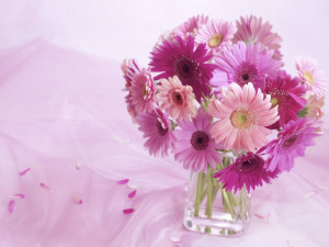 Beautiful Flower Background 7801 Hd Wallpapers
