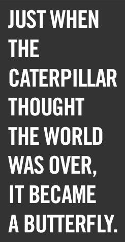 ... when the caterpillar thought the world was over, it became a butterfly