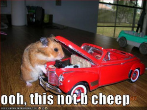 funny-pictures-your-hamster-mechanic-will-charge-a-pretty-penny