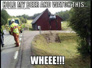 Via Landmark Auto Inc.