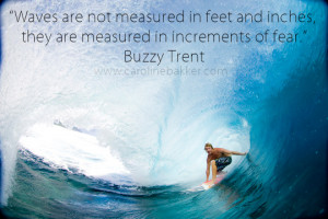 surf quotes mine