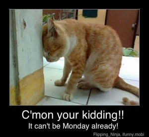 Funny Monday Morning Sucks Artist Hate Quote Quotes Picture