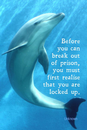 ... of prison, you must first realize that you are locked up. - Unknown