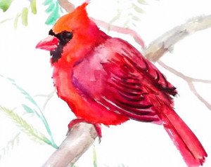 Cardinal bird, original watercolor painting, birds painting, red bird ...