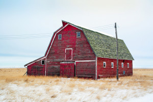 weathered old red barn sits in the snow on the cold Montana plains ...