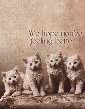 we hope you re feeling better send a free cute get well ecard greeting ...