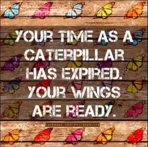 has expired. Your wings are ready.