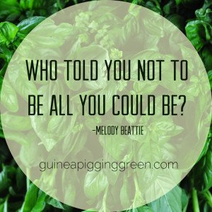 Melody Beattie Quote >> Guinea Pigging Green