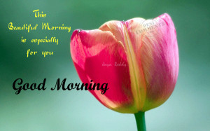 Back > Quotes For > Good Morning Happy Tuesday Quotes