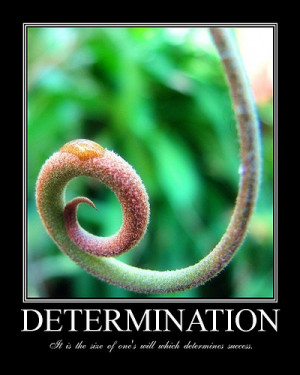 Motivational Poster - Determination, demotivational posters, funny ...