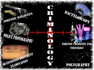 criminology Image