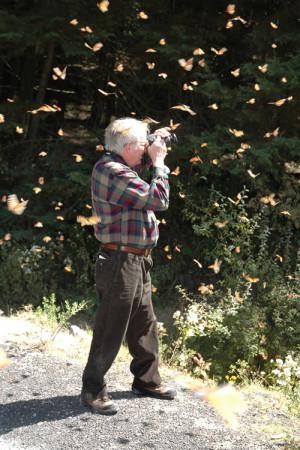 Dr. Lincoln Brower studying monarch butterflies.