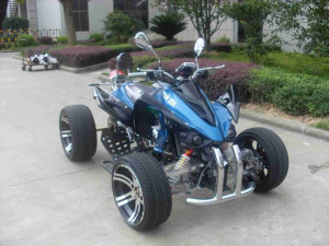 Quad Racing 250 EEC 2 Persons