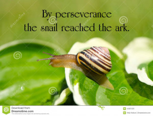 quote on perseverance by Charles Spurgeon, with a little garden snail ...