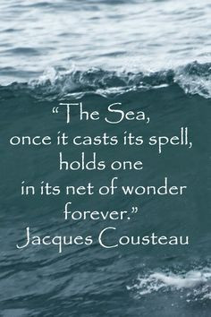 Ocean Theme