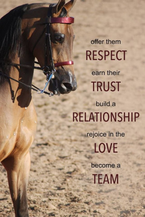 ... Trust Relationships, Love Hors Quotes, Equestrian Quotes, Horses