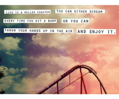 Life Roller Coaster Quote