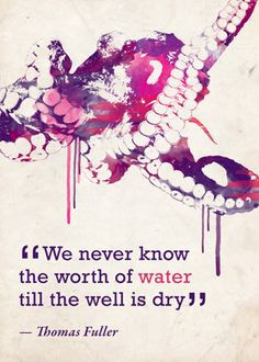 ... conservation #quotes conservation quotes, conserv quot, beauti quot