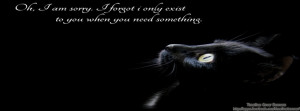 funny black cat pictures with quotesFlower quotes timeline Timeline ...
