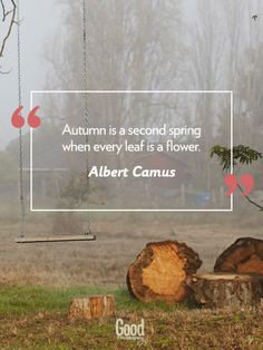 Best Fall Quotes - Quotes About Autumn