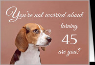 Happy 45th birthday, worried beagle card - Product #1149600