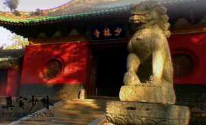 The Real Shaolin - kung fu documentary